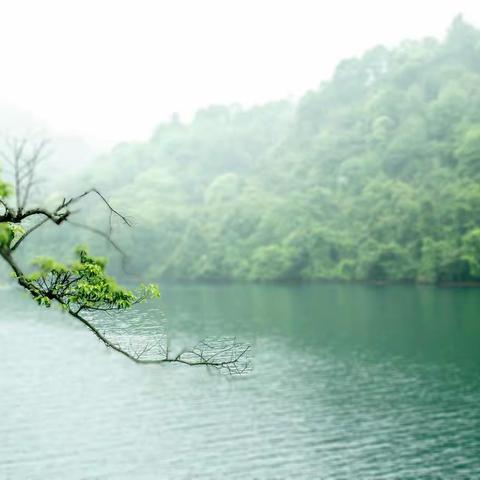 烟雨湘行之行摄小东江勇攀高椅岭