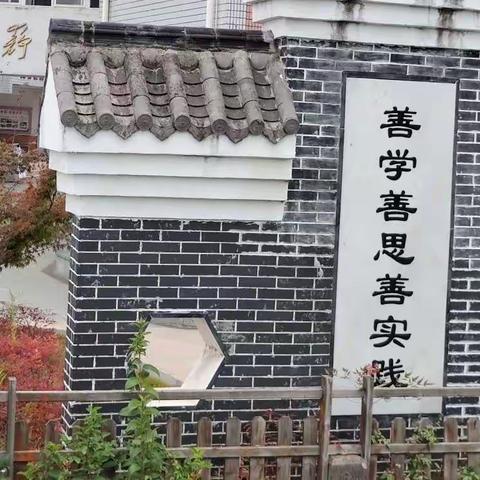 善学善思善实践