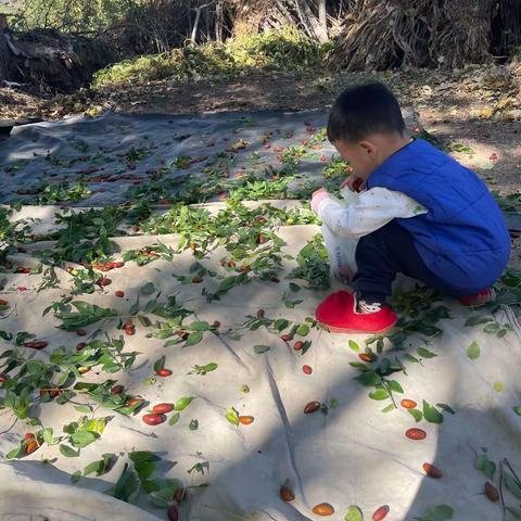 2023.10.5准备返程~成长日记213