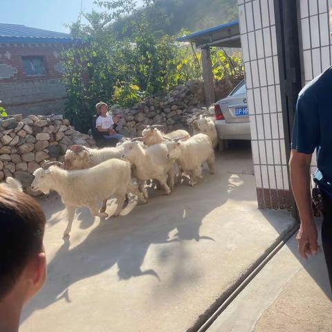 2023.10. 3勤劳的大舅~成长日记211