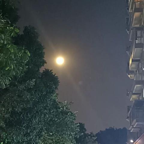不合群之人悟透了的道理