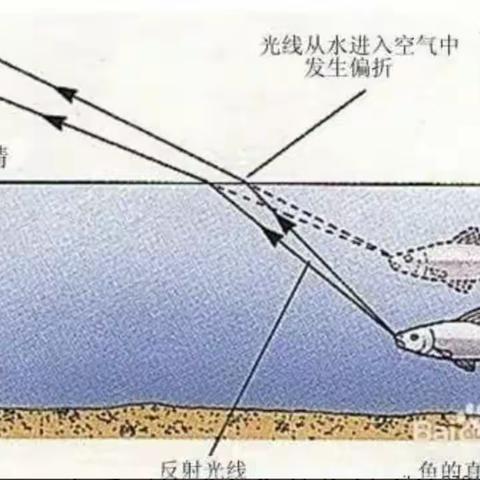 有趣的折射