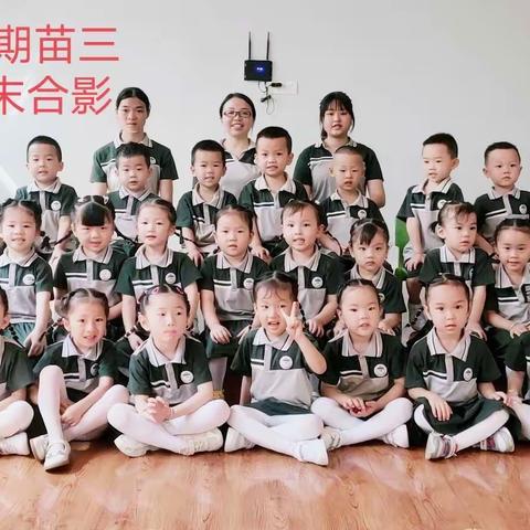 【学期总结】——“收获快乐 见证成长” 金色童年幼儿园苗苗三班第二学期期末美篇