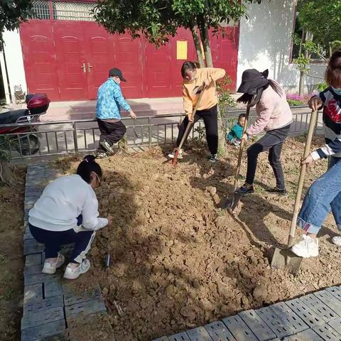 驻马店市第三十小学                    一年级一班家校合作帮助学生进行劳动实践活动！