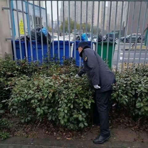 对怡景街菜场周边绿化开展环境整治，美化城市环境