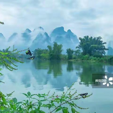 以青年之力，谱盛世华章--南充高中高坪校区初2021级1班任奕帆社会实践