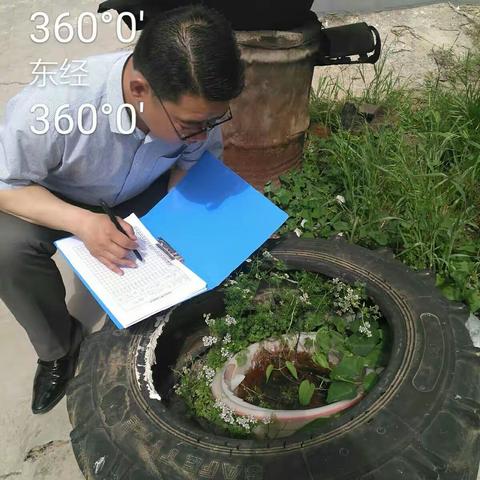 三门峡市陕州区开展登革热媒介伊蚊幼虫监测工作