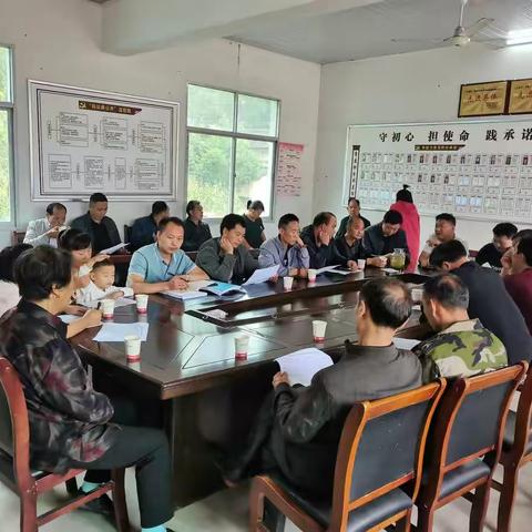 岩屋村党支部开展“旗帜鲜明讲政治” 主题党日活动