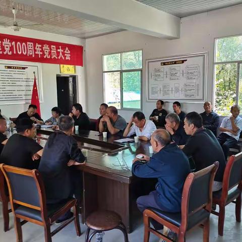 岩屋村党支部开展“高举旗帜启新程·响应号召践力行”主题党日活动