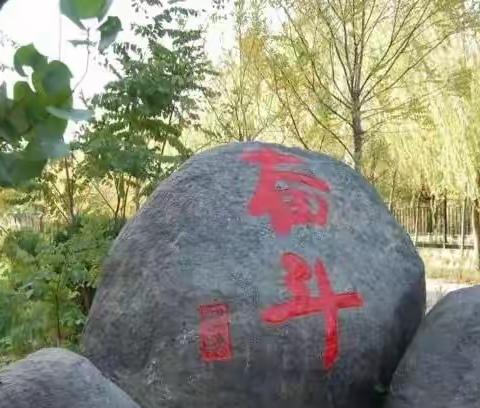 树安全意识 创和谐校园一一杭锦后旗奋斗小学校园安全排查