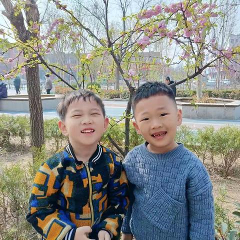 维特中班(3月20-24)在园活动掠影