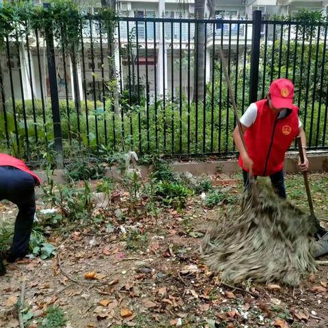 金河社区开展新一轮“爱河护水 清洁家园”行动