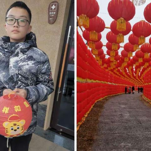 记丰富多彩的寒假生活