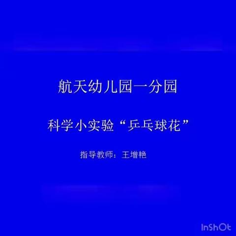 科学小实验《乒乓球花》