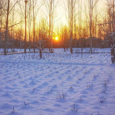 手机拍个雪