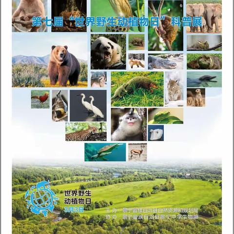 3月3日“世界野生动植物日”——我们在行动