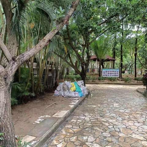 吉阳区文明办督查组一组督查情况通报整改情况(11月23日春光社区）