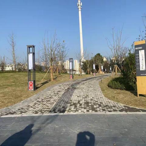 京杭大运河长浒大桥景观节点（11月）