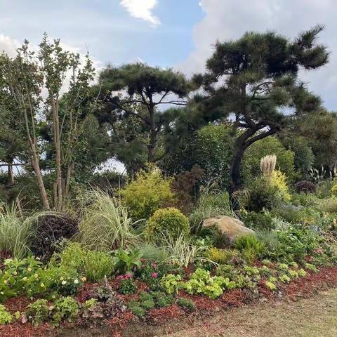 澄湖花木园艺场花境实操（9月）