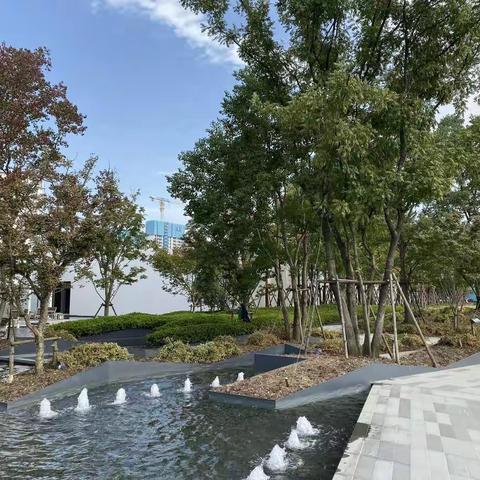 苏州仁恒园和售楼处走园（7月）