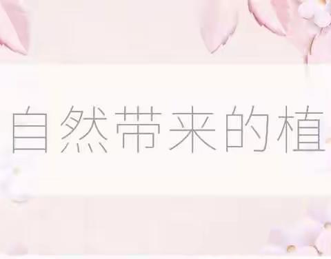 2020纯露新手入坑指南