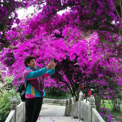 黄果树瀑布的后花园