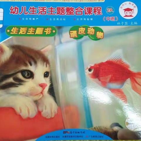 本月主题《顽皮动物》