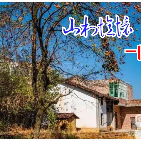 山村忆怀