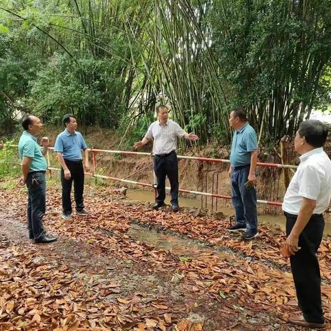 以解决问题为导向，以项目落地为目标，全力以赴开展项目用地征迁及清表工作