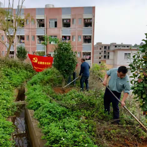 荣塘中学开展 “民族团结情 共建团结林”活动