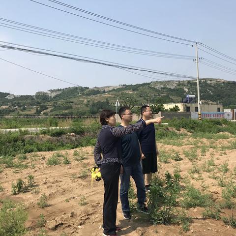 宋家彩村与河南南阳艾众生艾草制品有限公司达成合作意向