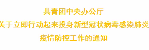 行动令！各级共青团组织团干部和团员青年们：立即行动，投身疫情防控