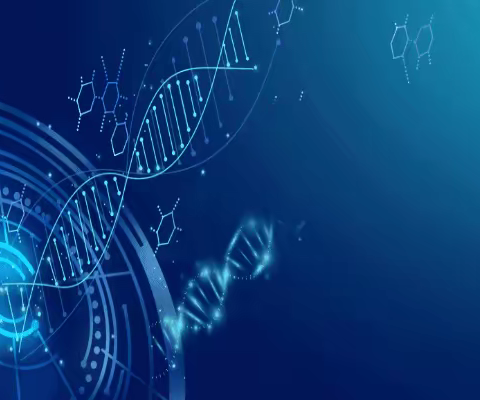 中山哪里可以做亲子鉴定(附8大亲子鉴定机构名录)