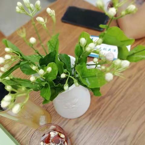 汉台区女企协“茶与生活”主题活动之夏日茉莉