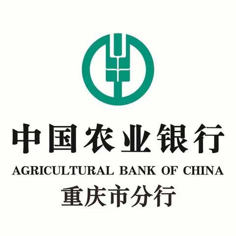 农业银行重庆双桥支行零售业务转型与春天行动项目总结