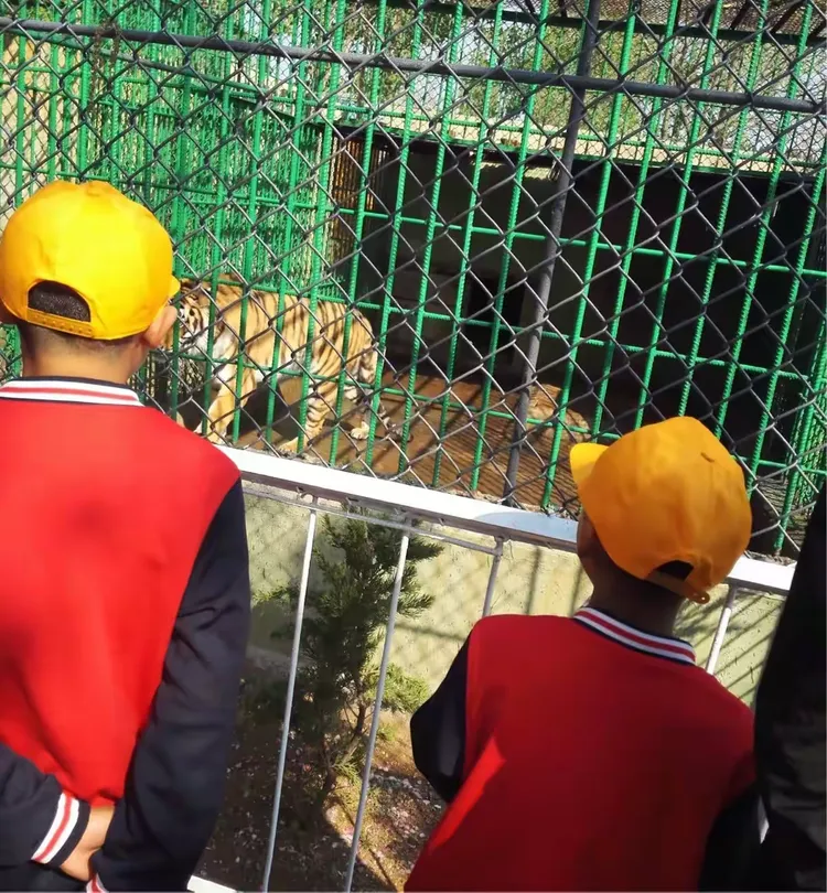 —招远市特殊教育学校西山动物园研学旅行
