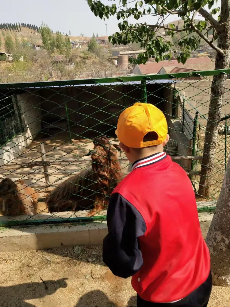 —招远市特殊教育学校西山动物园研学旅行
