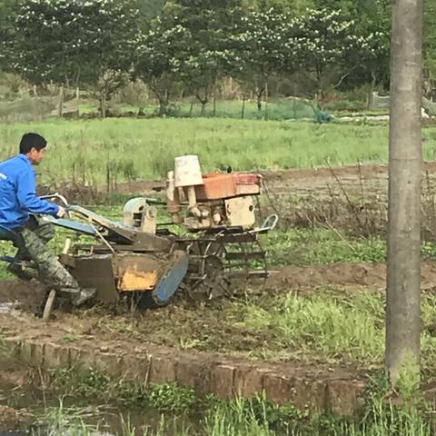 农民辛勤的耕耘