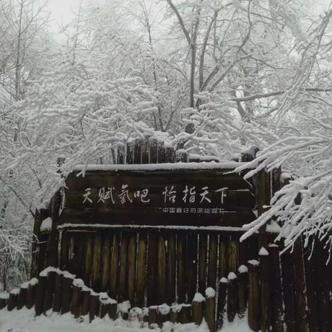 中国氧吧坪坝营美丽雪景