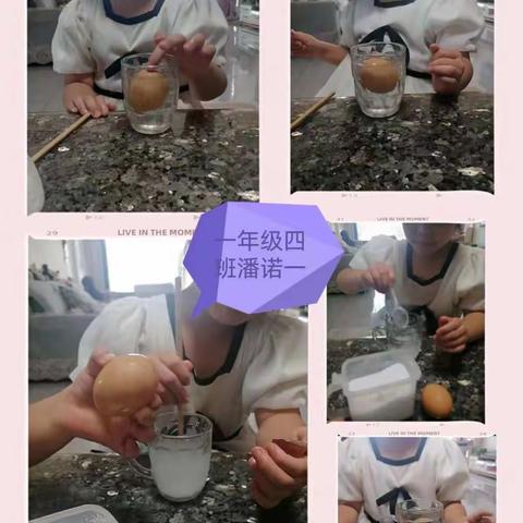 一年级一级部暑假第六周玩转科学——鸡蛋在盐水中浮起来