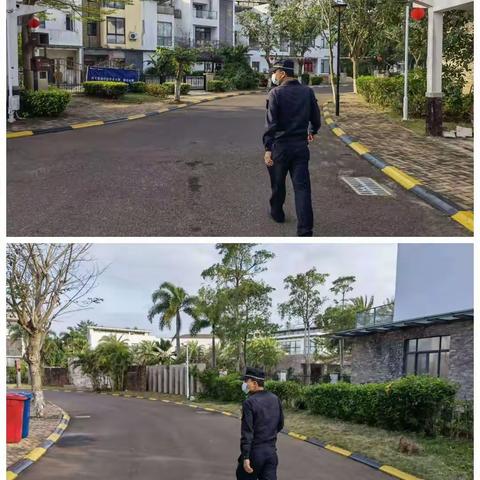 美兰区整治违法建筑工作日报（2月12号)