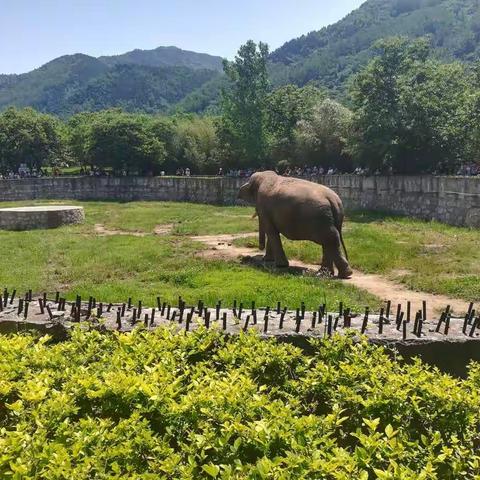 野生动物园一日游
