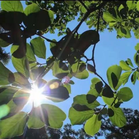 教研永远在路上﻿