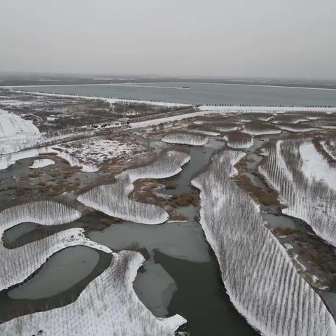 玉清湖街道全力以赴迎战寒潮天气