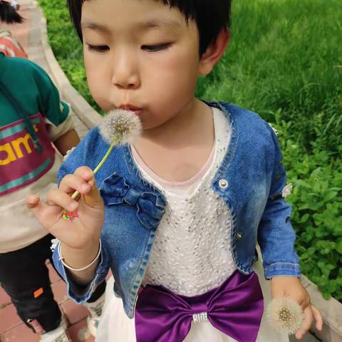 第三幼儿园小班级幼儿与昆虫相约在立夏里