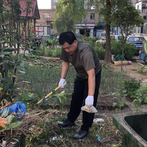 辉南县市场监督管理局弃管小区环境卫生整治在行动