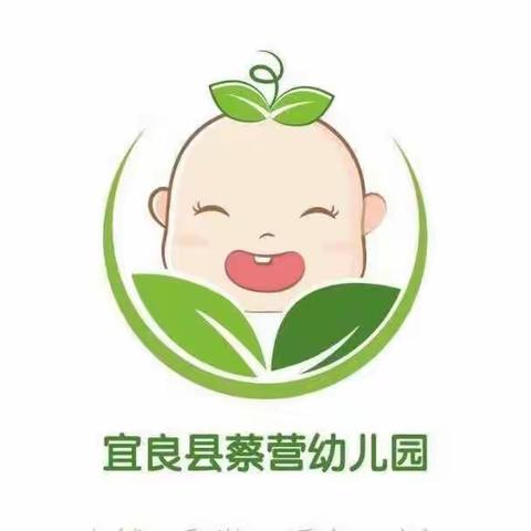 线上教学，快乐成长 — 蔡营幼儿园中班线上教学活动