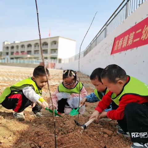 我和小树共成长----高桥镇第二幼儿园植树节主题活动