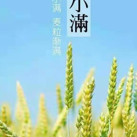 “初夏迎小满，万物皆欢欣”——平罗县红瑞幼儿园小中班组小满主题活动游戏