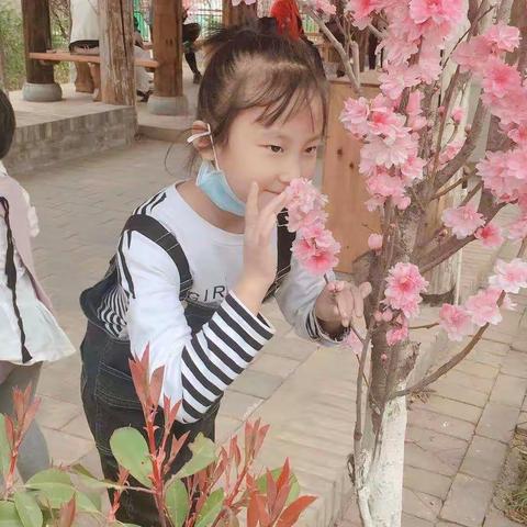 《快乐劳动   成长自我  》                           ——北关小学“寒假实践活动”二年级六班田智桦